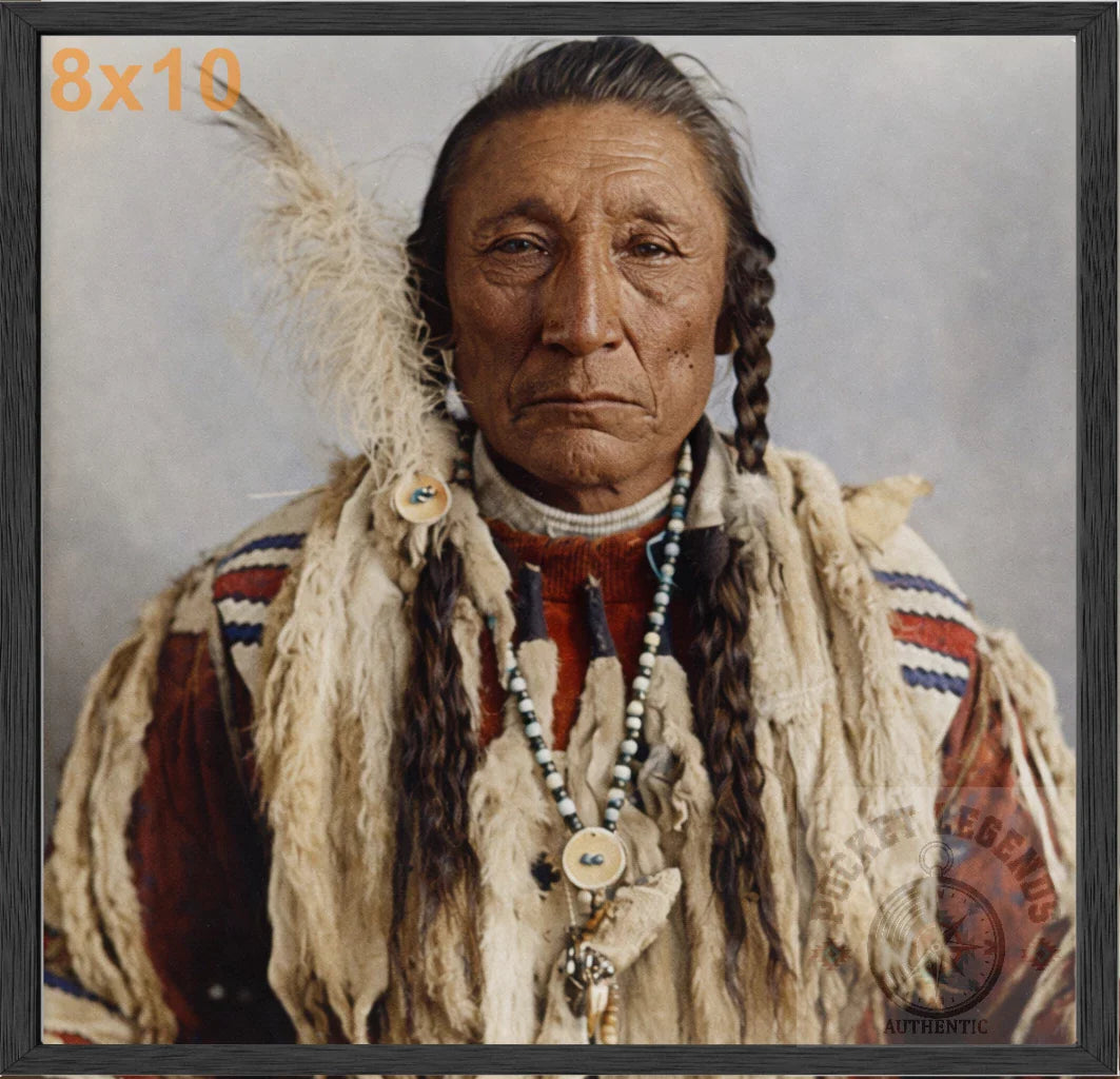 curly bear blackfoot stained oak framed color print backed 8x10