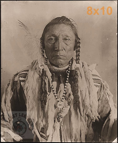 curly bear blackfoot pecan sepia print backed 8x10