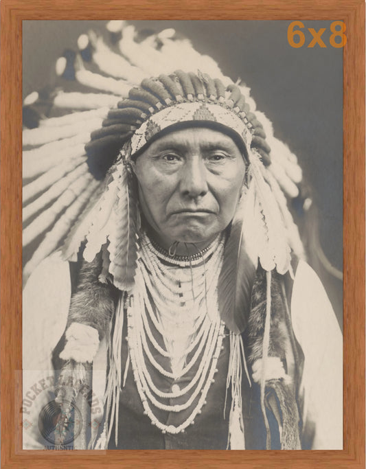 chief joseph pecan sepia print backed 6x8 