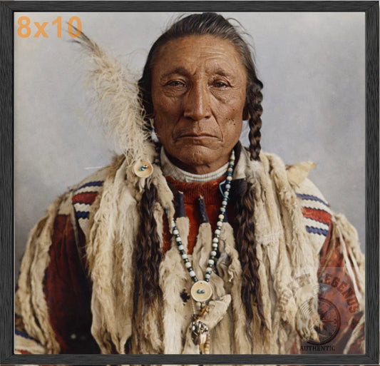 curly bear blackfoot stained oak framed color print backed 8x10