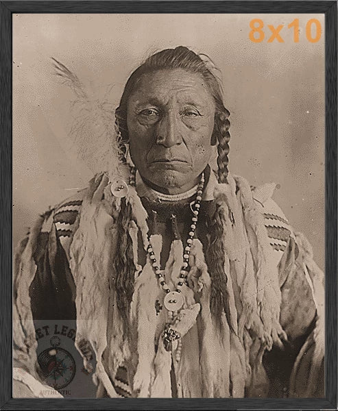 curly bear blackfoot stained oak framed sepia print backed 8x10