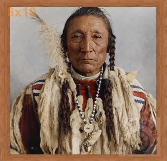 curly bear blackfoot pecan color print backed 8x10