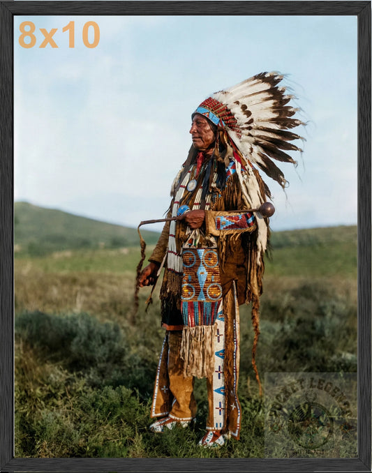 high hawk stained oak framed color print backed 8x10
