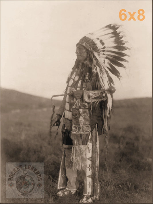 high hawk sepia print backed 6x8 