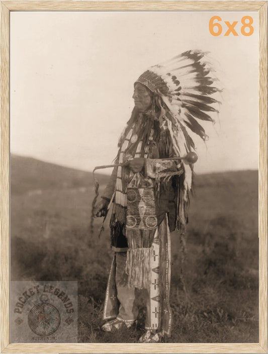 high hawk oak sepia print backed 6x8 
