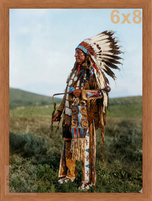 high hawk pecan color print backed 6x8 
