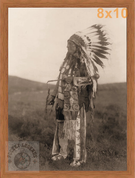 high hawk pecan sepia print backed 8x10