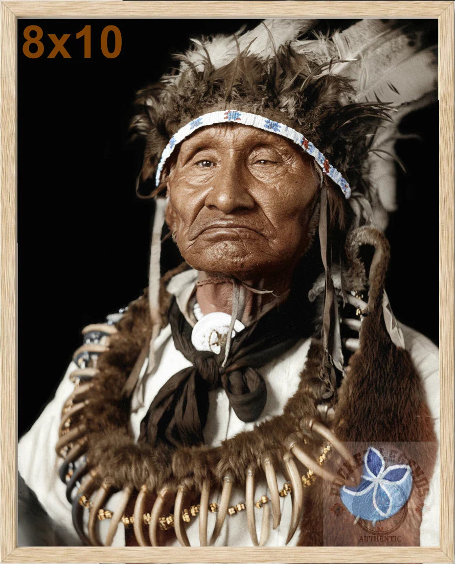 james arkeketah oak color print backed 8x10