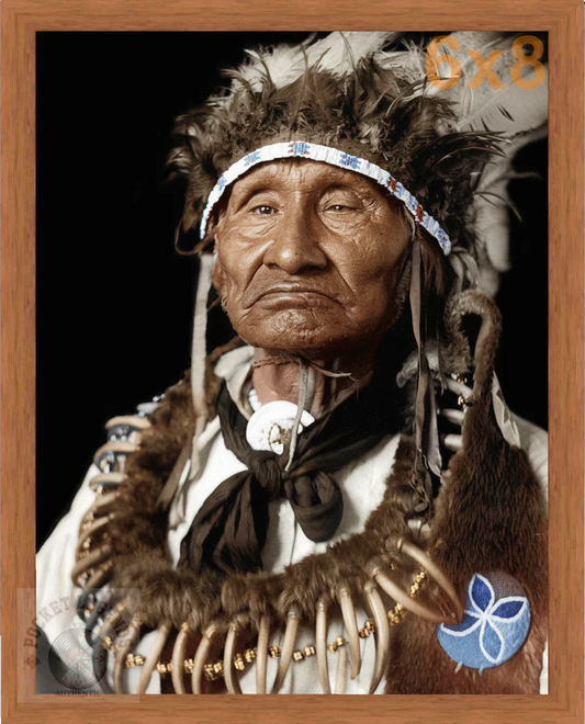 james arkeketah pecan color print backed 6x8 
